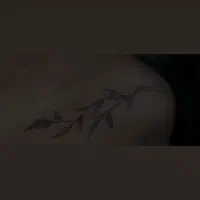تتو بدن کاشان