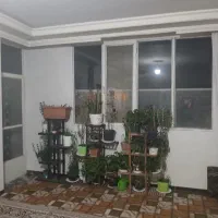 خانه در محسن آباد