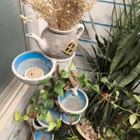 آبنما 1.5 متری