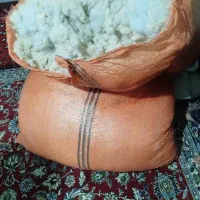بار تشک و بالش