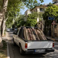 ۳۰٪ تخفیف  قالیشویی شورینو شستشوی VIP تهران