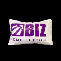 بالشت ضد درد