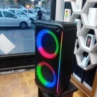 اسپیکر ، پارتی باکس
