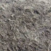 کود گوسفندی رایگان