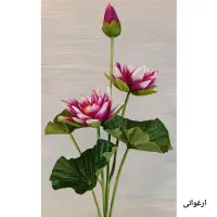 «گل نیلوفر نو» به قیمت خرید|گل مصنوعی|زنجان, |دیوار