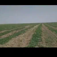 زمین-در-شهرک-فناوری-مشهد