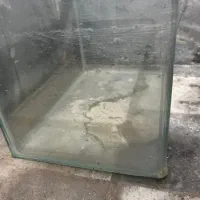 آکواریوم|ماهی|کرج, دولتآباد|دیوار