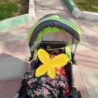 کالسکه دلیجان مدل بنیتا