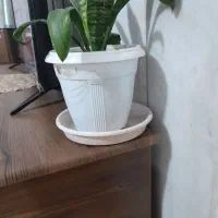 یک-قطعه-زمین-در-فوشنجان