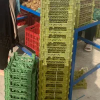 سبد تک رج کیوی|عمدهفروشی|اسالم, |دیوار