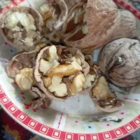 گردو