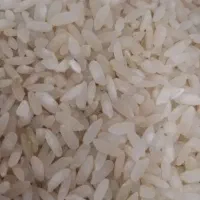 برنج کامفیروزی و فجر نورآبادی|خوردنی و آشامیدنی|شیراز, میانرود|دیوار