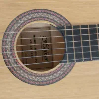 گیتار نو و استفاده نشده مدل hofner-AS-045-P2|گیتار، بیس، امپلیفایر|اردبیل, |دیوار