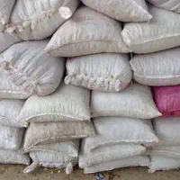 بلوط خوراک دام