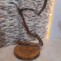 کنار سالنی