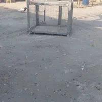 جفت دونی کفتر|لوازم جانبی حیوانات|مرودشت, رودبال|دیوار