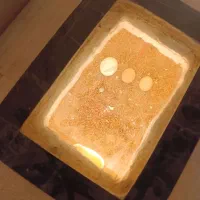 دستگاه جوجه کشی