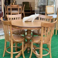 صندلی لهستانی چهار نفره|میز و صندلی غذاخوری|رشت, چله خانه|دیوار