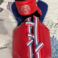 هوگو تکواندو و کاراته