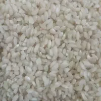 برنج شهری یا گرده