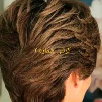 کوتاهی مو تخصصی بانوان مسکن|خدمات آرایشگری و زیبایی|کرمانشاه, |دیوار