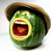 واگذاری هایپر میوه