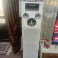 باند بزرگ|سیستم صوتی خانگی|صومعه‌سرا, |دیوار