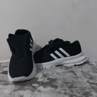 کفش|کیف، کفش، کمربند|دوگنبدان, |دیوار