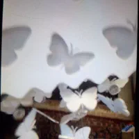 لوستر فانتزی