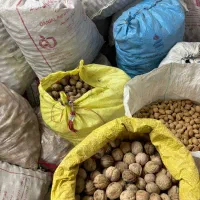 فروش ویژه آلو بخاراگردو کشمش