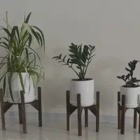استند گل و مجسمه