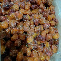 آلوچه