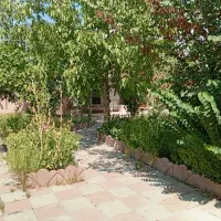 باغچه سرسبز