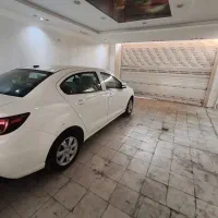 ساینا دندهای اس و یک دستگاه شاهین خشک