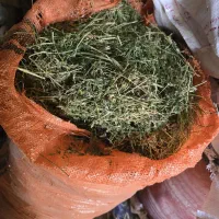 یونجه درجه یک