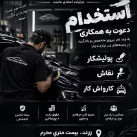 استخدام در مجموعه خدمات خودرویی تکنوشاین