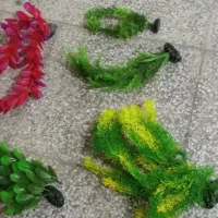 لوازم آکواریوم|لوازم جانبی حیوانات|شیراز, رکنآباد|دیوار