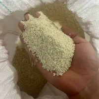 خورده برنج میداوود