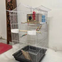 قفس پرنده