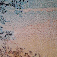 تابلو فرش|تابلو فرش|آبیک, |دیوار