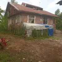 شالیزار-هکتاری-رشت-کوچصفهان