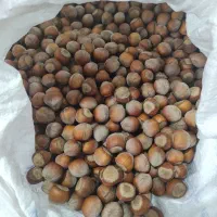 فندق درجه یک و درشت دیلمان اشکورات