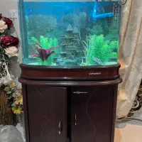 اکواریوم چینی شرکتی بسیار‌تمیز با تمامی وسایل