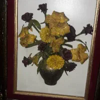 قاب عکس