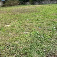 بازدید فوق العاده زمین