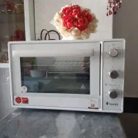 توستر داتیس