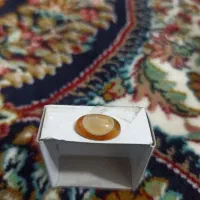 باباقوری سوسنی