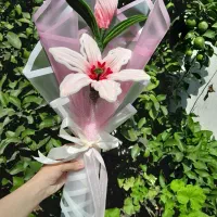 گلهای زیر 1میلیون