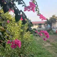 اجاره خونه ویلایی