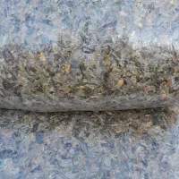 فروش ذرت علوفه یی